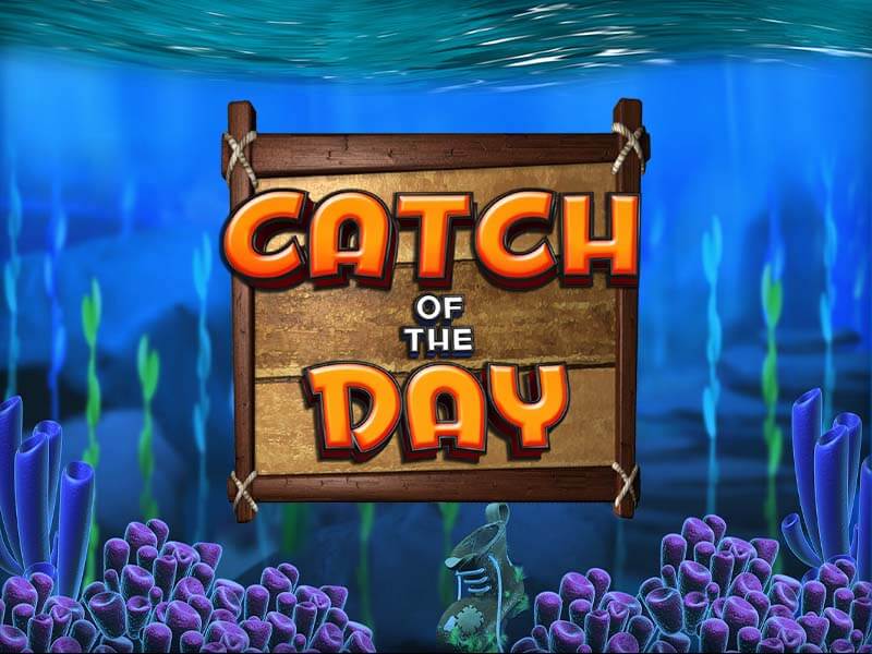 Catch of the Day - Capa do Jogo
